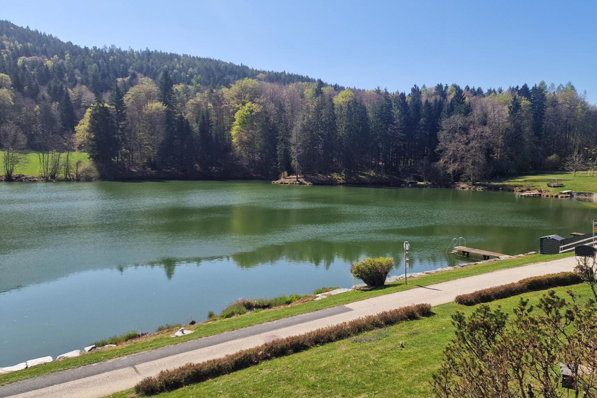 Landgasthof Trattnig Schiefling am See Rum bild