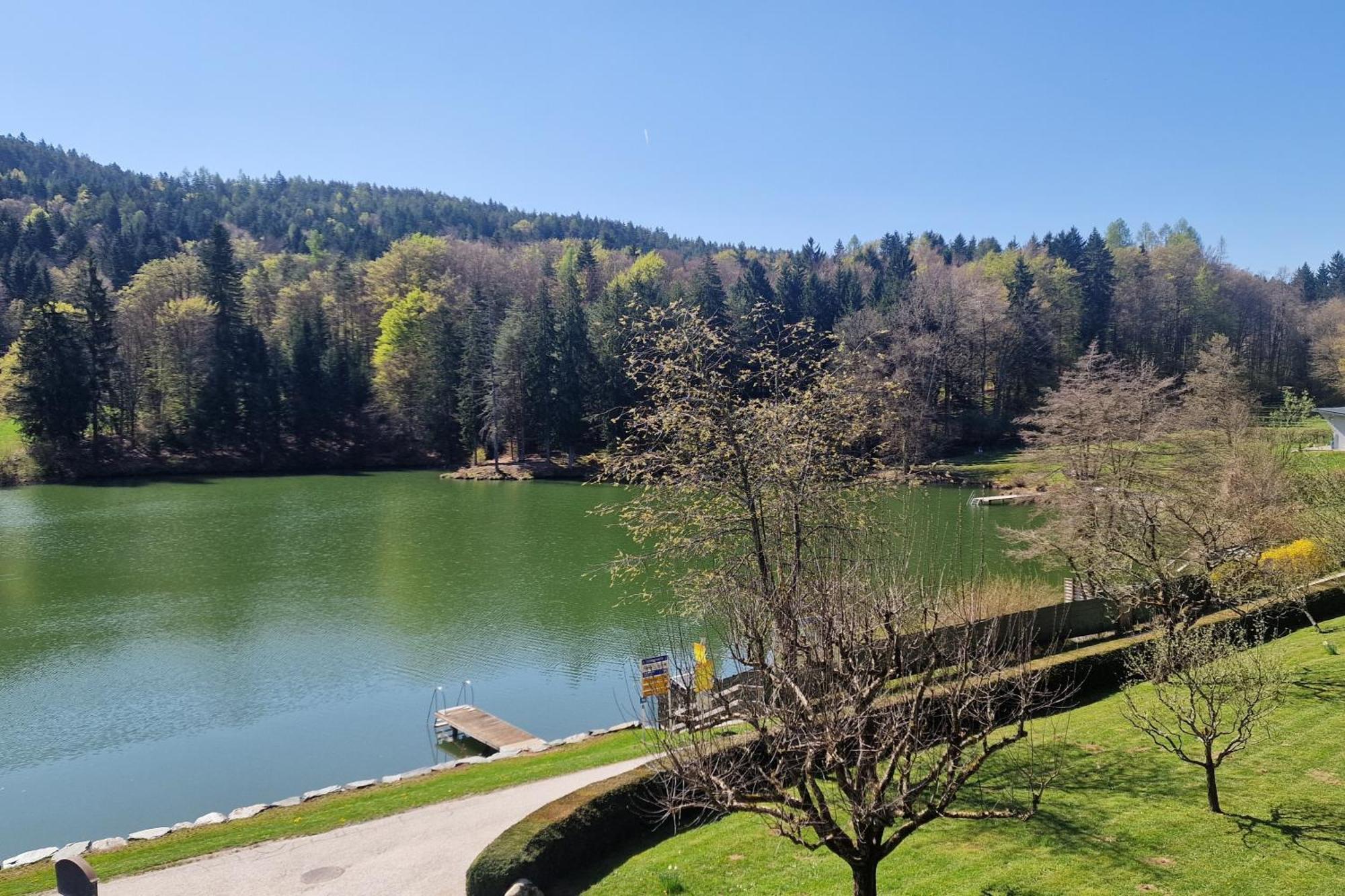 Landgasthof Trattnig Schiefling am See Rum bild
