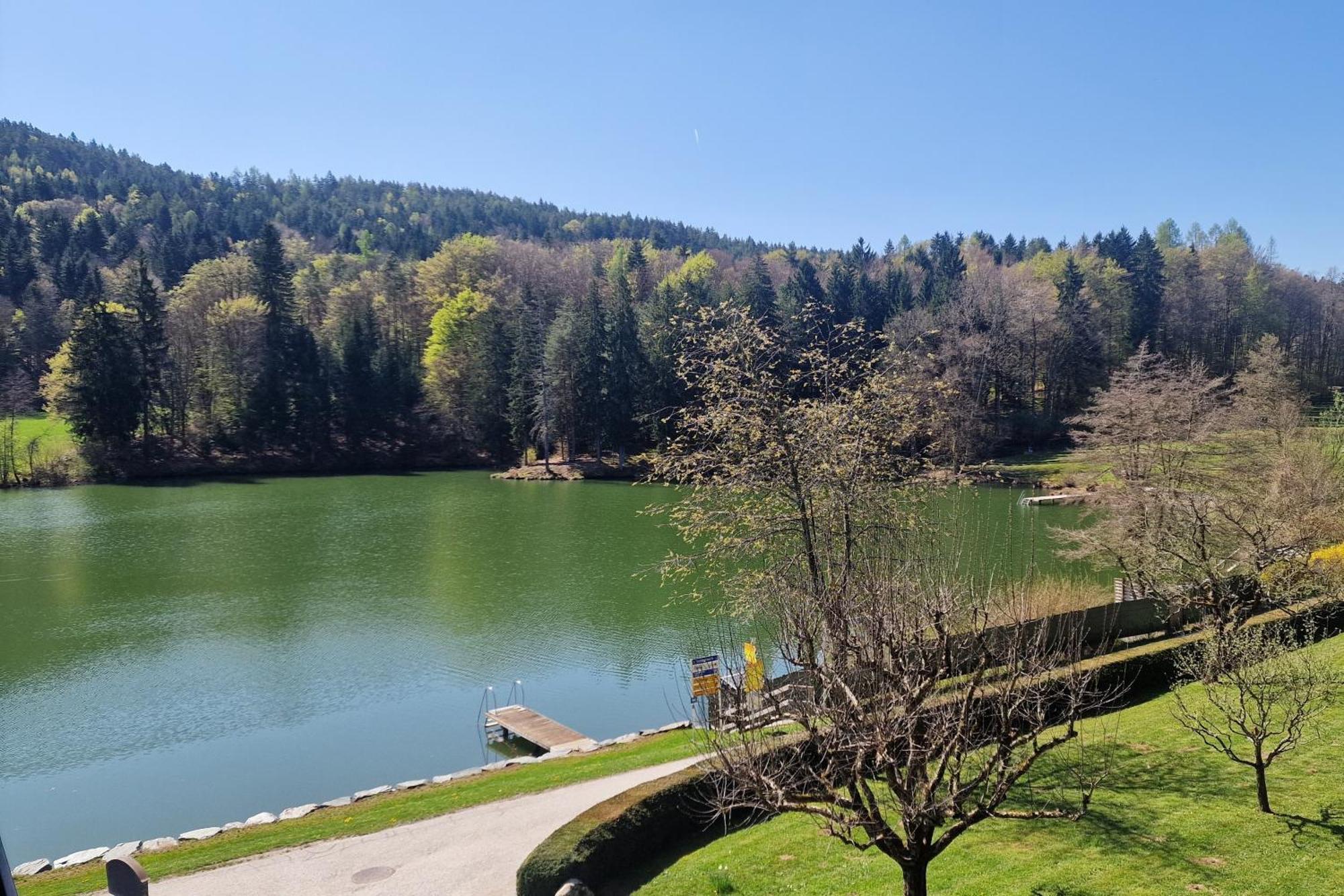 Landgasthof Trattnig Schiefling am See Rum bild